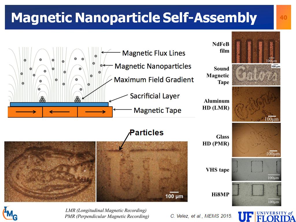 Magnetic Nanoparticle Self-Assembly
