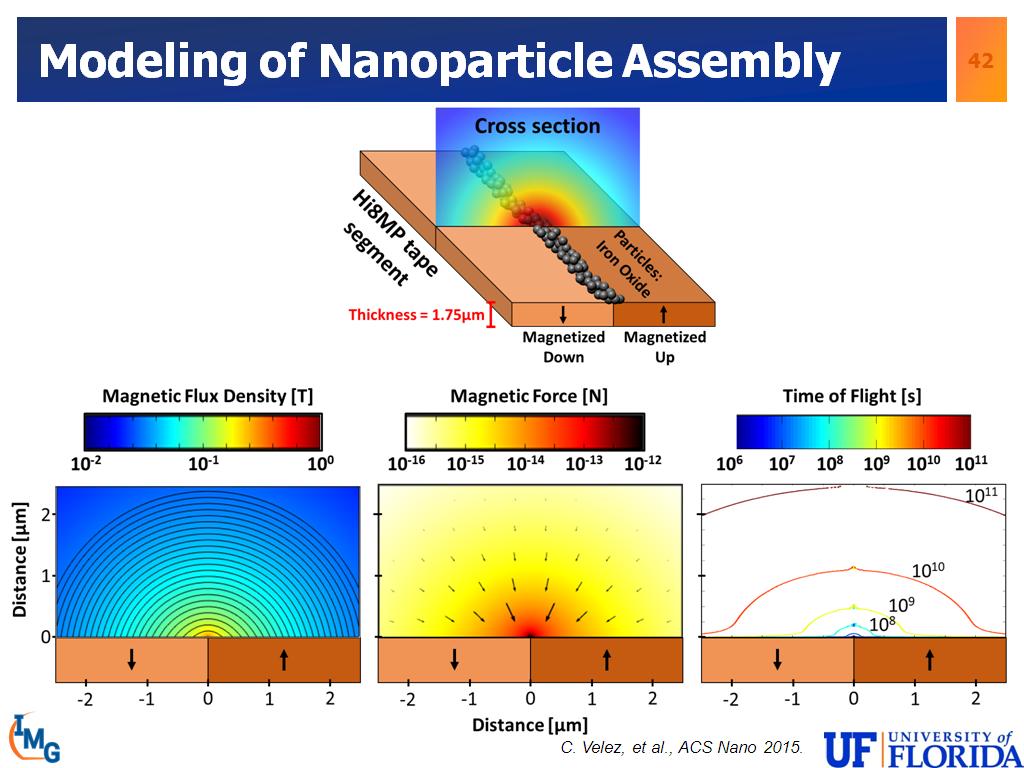 Modeling of Nanoparticle Assembly