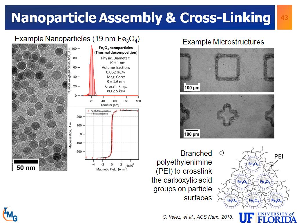 Nanoparticle Assembly & Cross-Linking