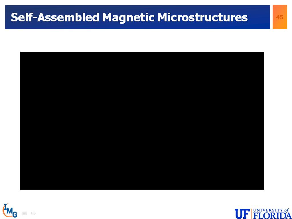 Self-Assembled Magnetic Microstructures