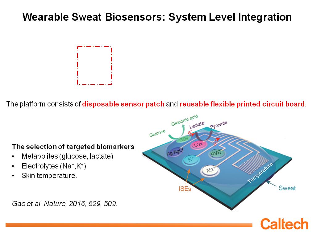 Wearable Sweat Biosensors: System Level Integration