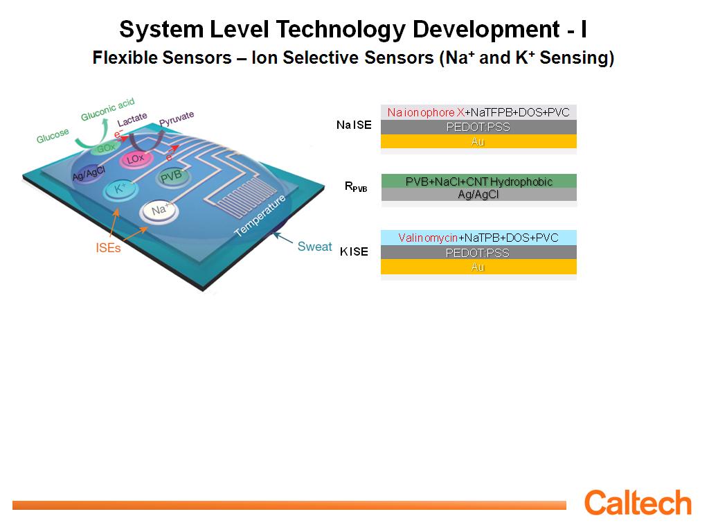 System Level Technology Development - I