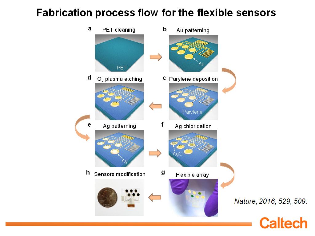 Fabrication process flow for the flexible sensors