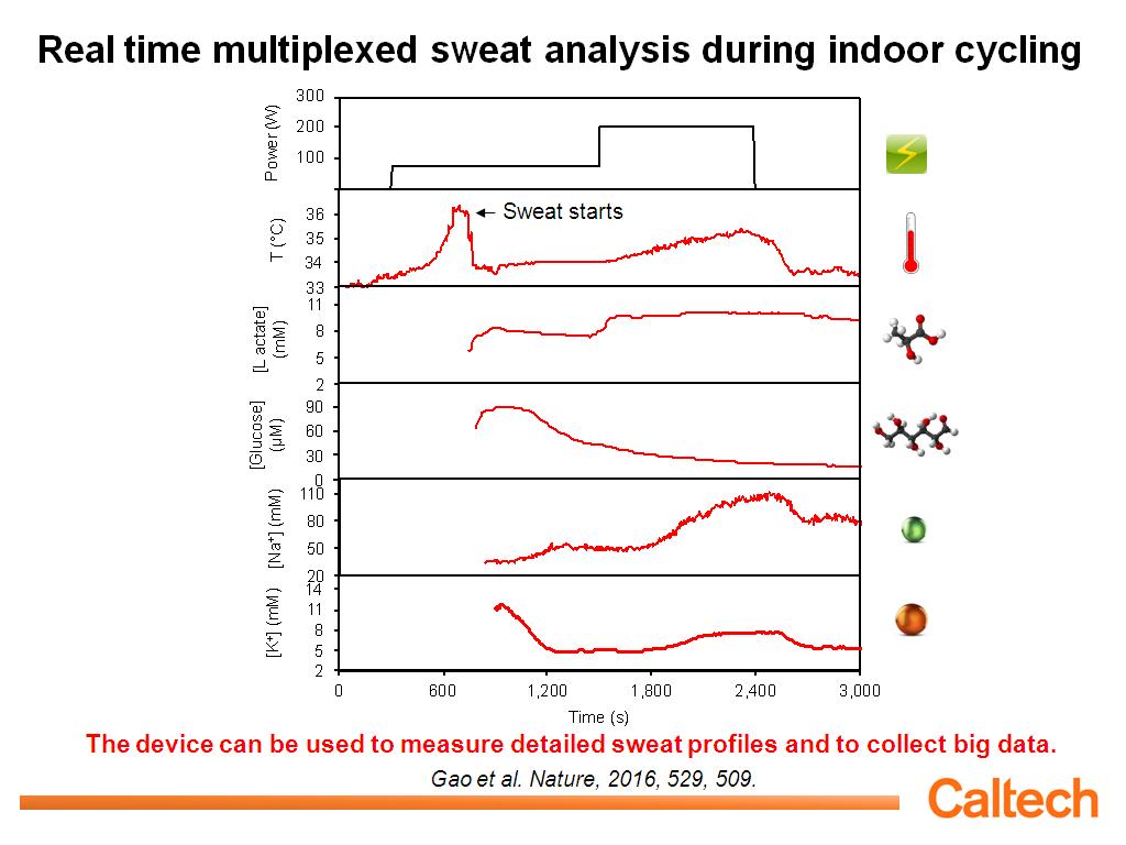 Real time multiplexed sweat analysis during indoor cycling