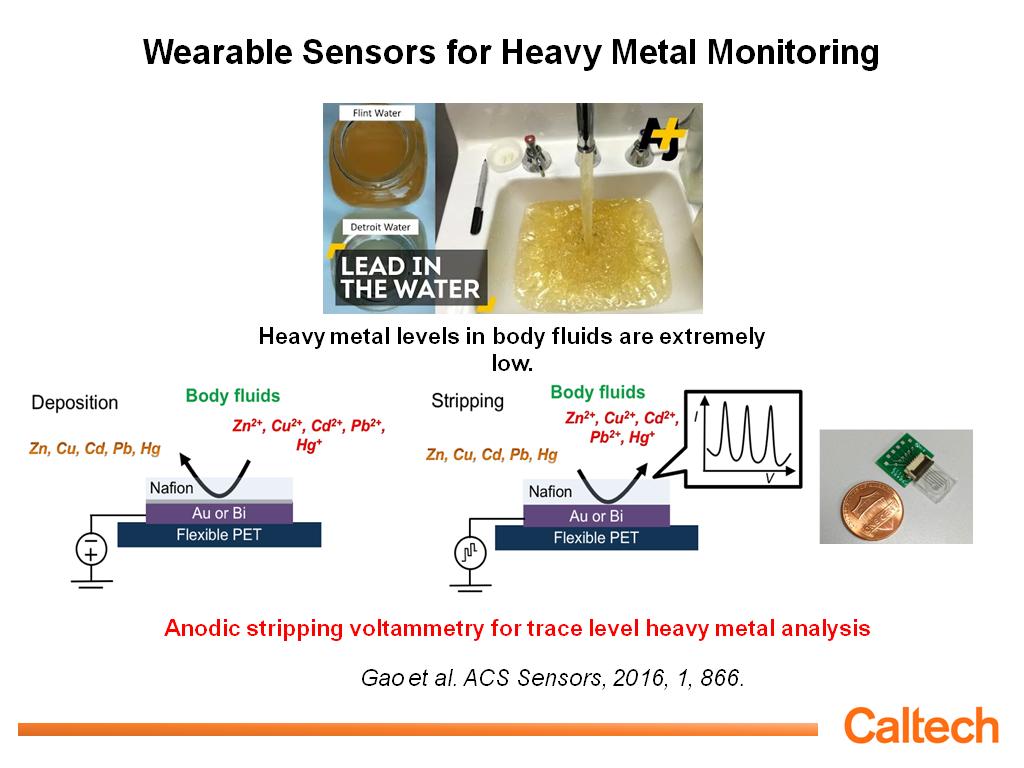 Wearable Sensors for Heavy Metal Monitoring