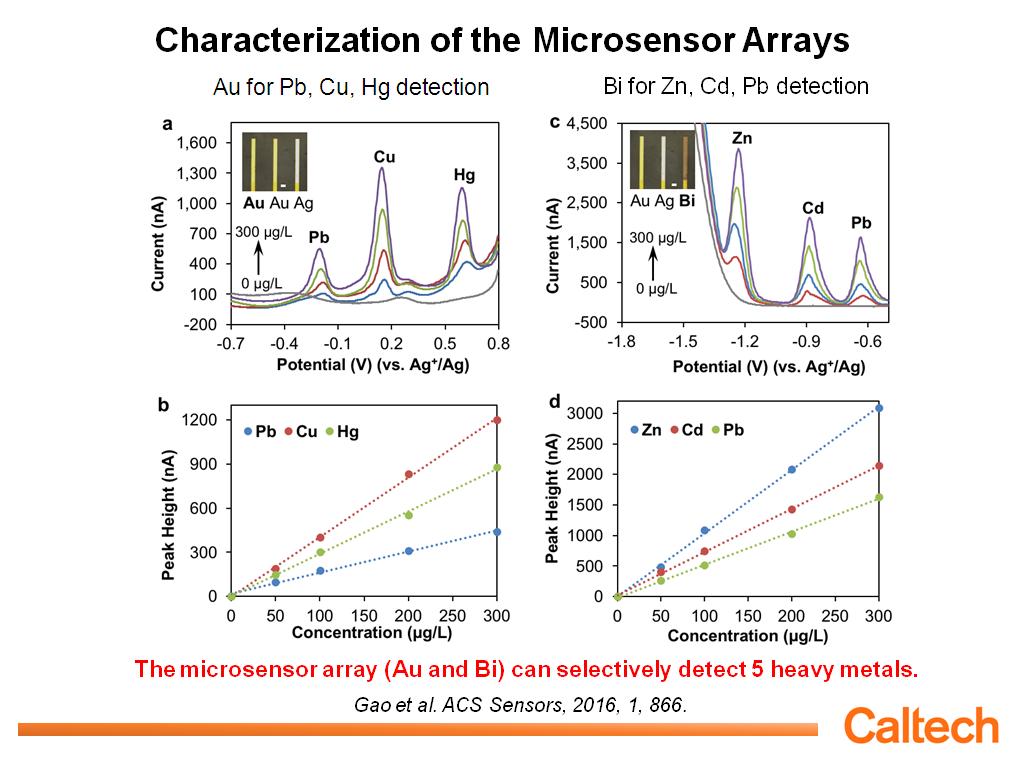 Characterization of the Microsensor Arrays