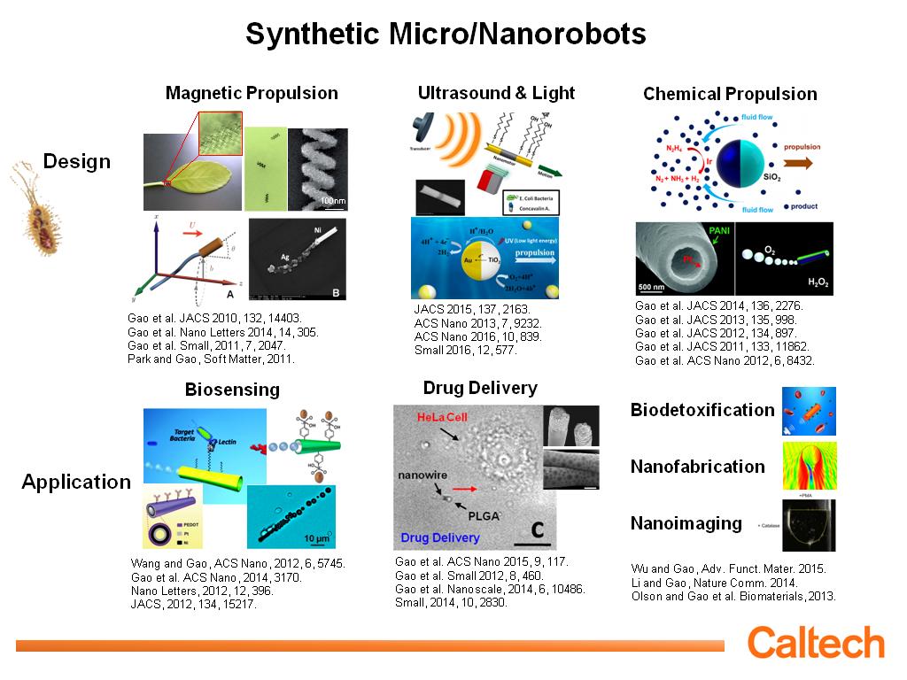 Synthetic Micro/Nanorobots