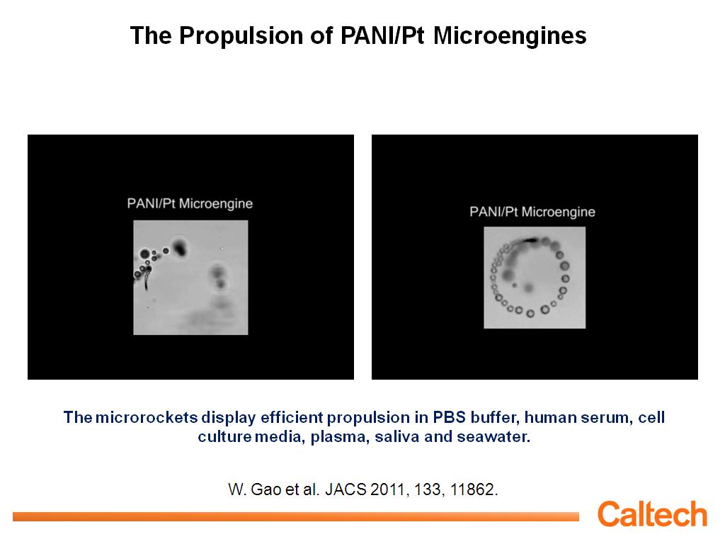 The Propulsion of PANI/Pt Microengines