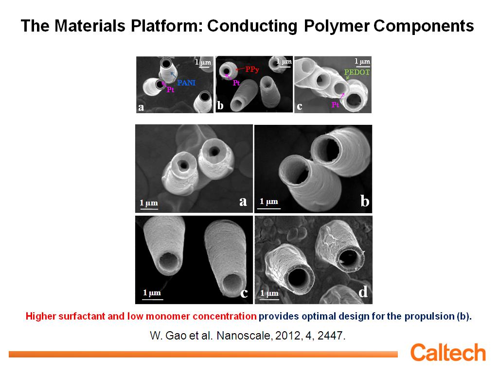 The Materials Platform: Conducting Polymer Components
