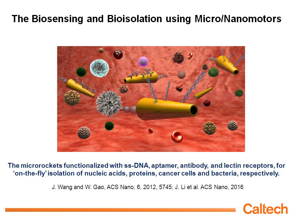 The Biosensing and Bioisolation using Micro/Nanomotors