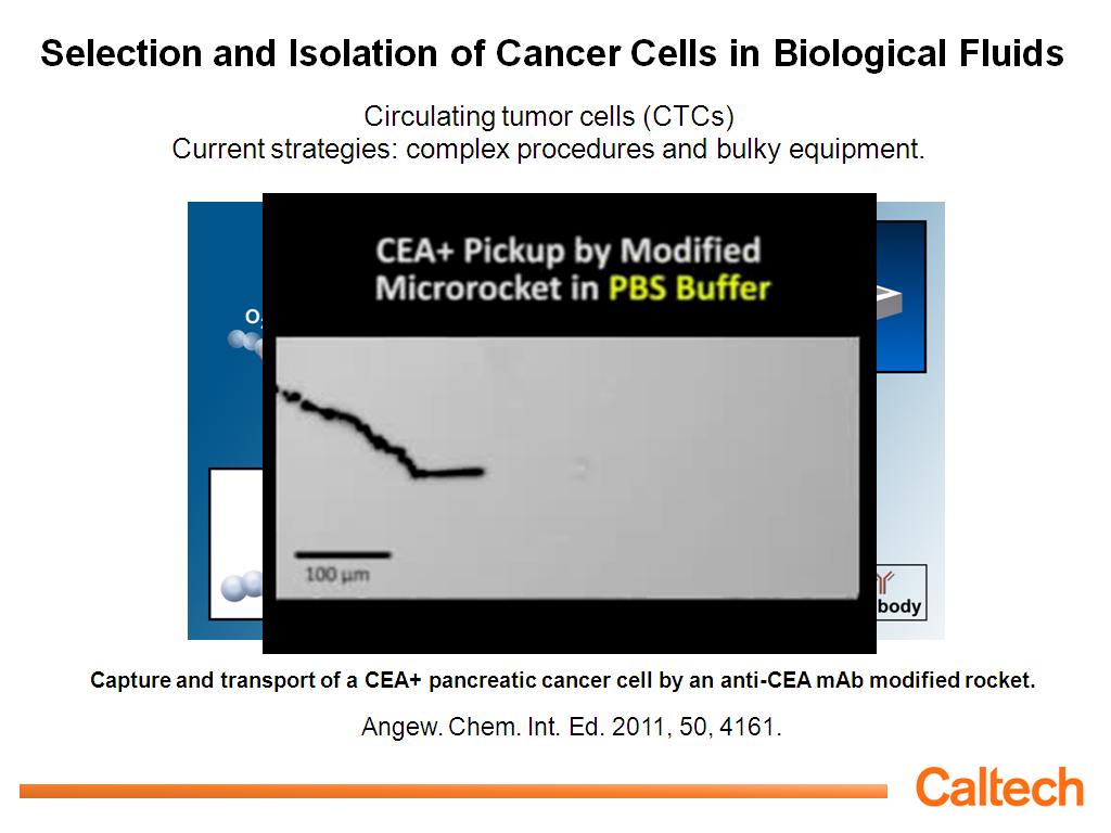 Selection and Isolation of Cancer Cells in Biological Fluids