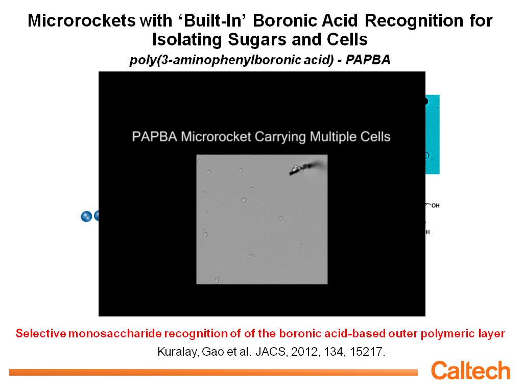 Microrockets with 'Built-In' Boronic Acid Recognition for Isolating Sugars and Cells
