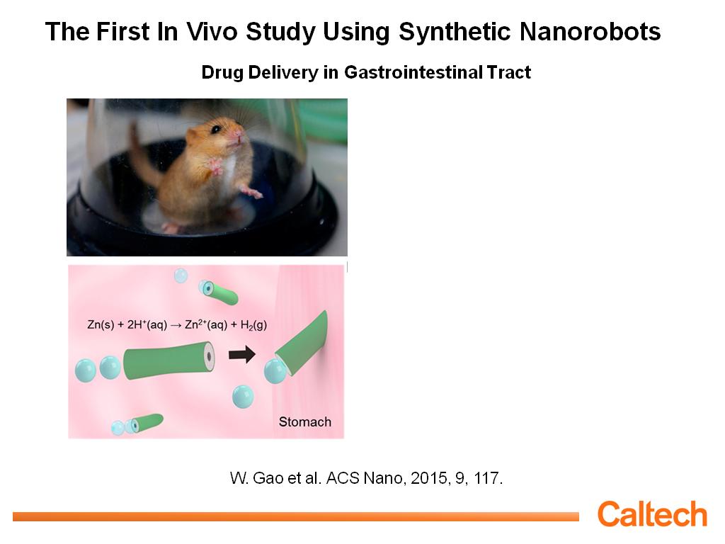 The First In Vivo Study Using Synthetic Nanorobots