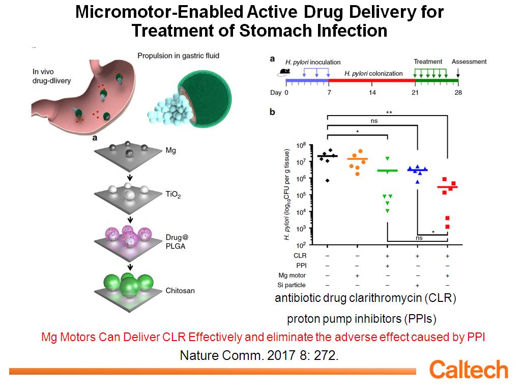 Micromotor-Enabled Active Drug Delivery for Treatment of Stomach Infection