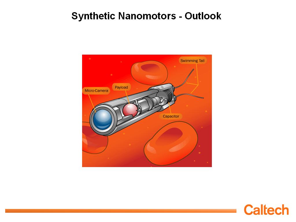 Synthetic Nanomotors - Outlook