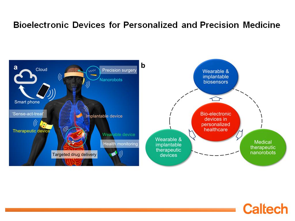 Bioelectronic Devices for Personalized and Precision Medicine