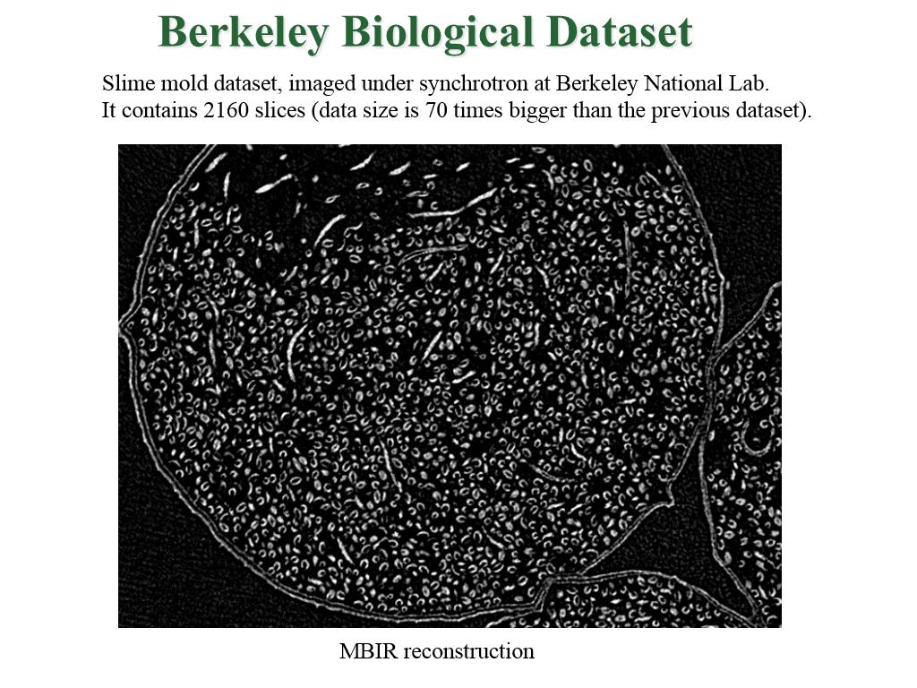 Berkeley Biological Dataset