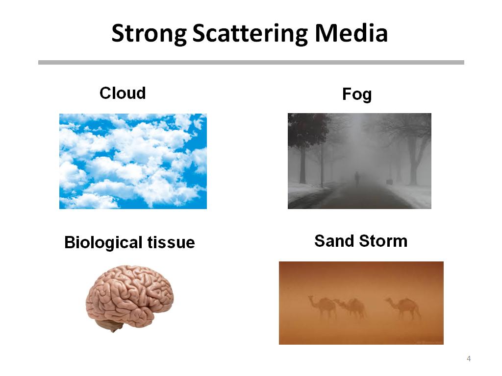 Strong Scattering Media