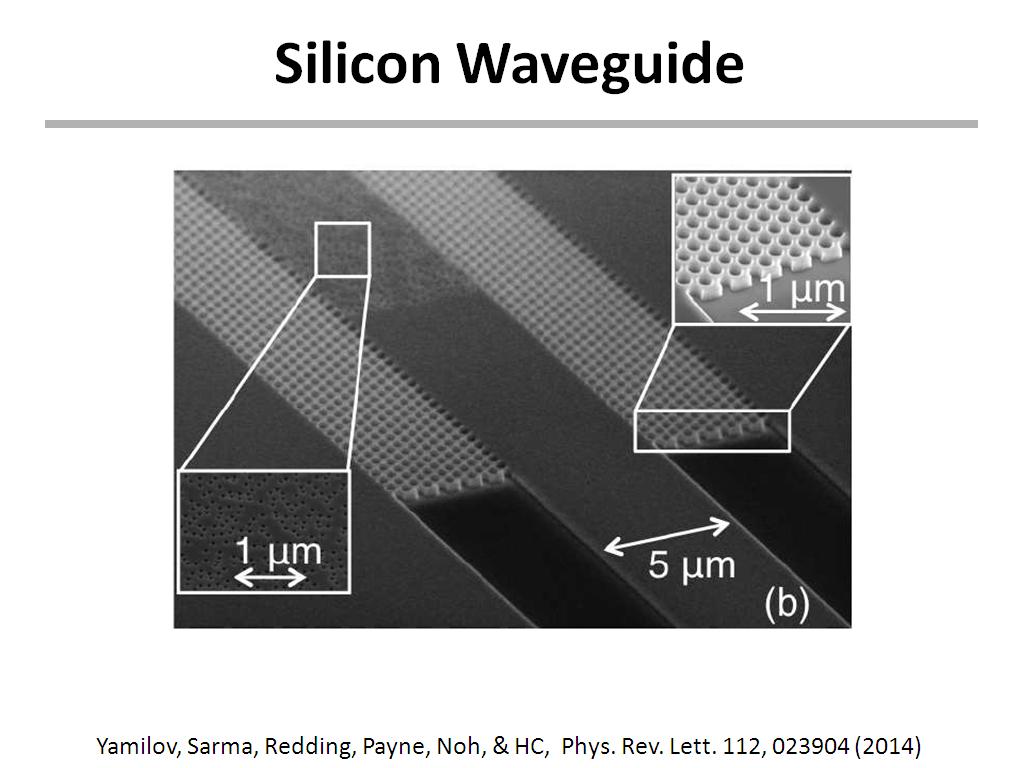 Silicon Waveguide