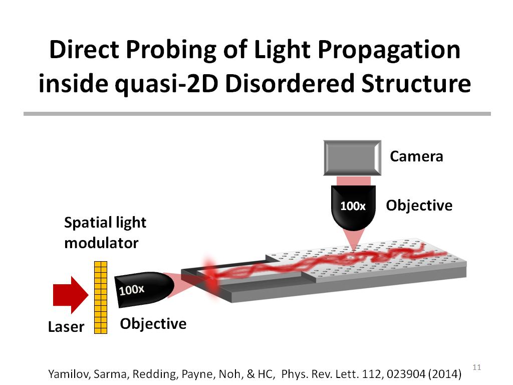 Direct Probing of Light Propagation inside quasi-2D Disordered Structure