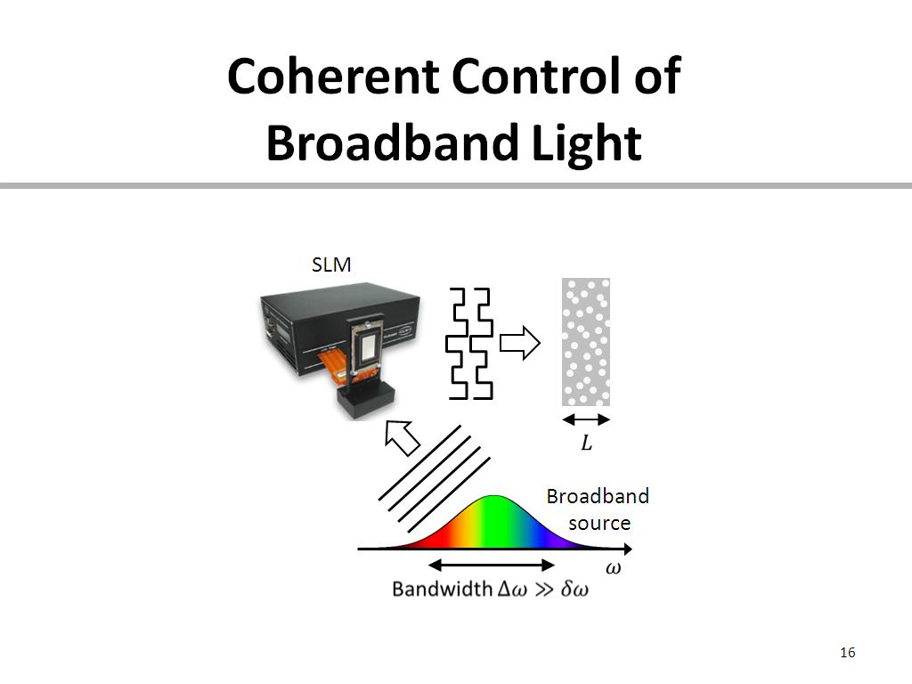 Coherent Control of Broadband Light