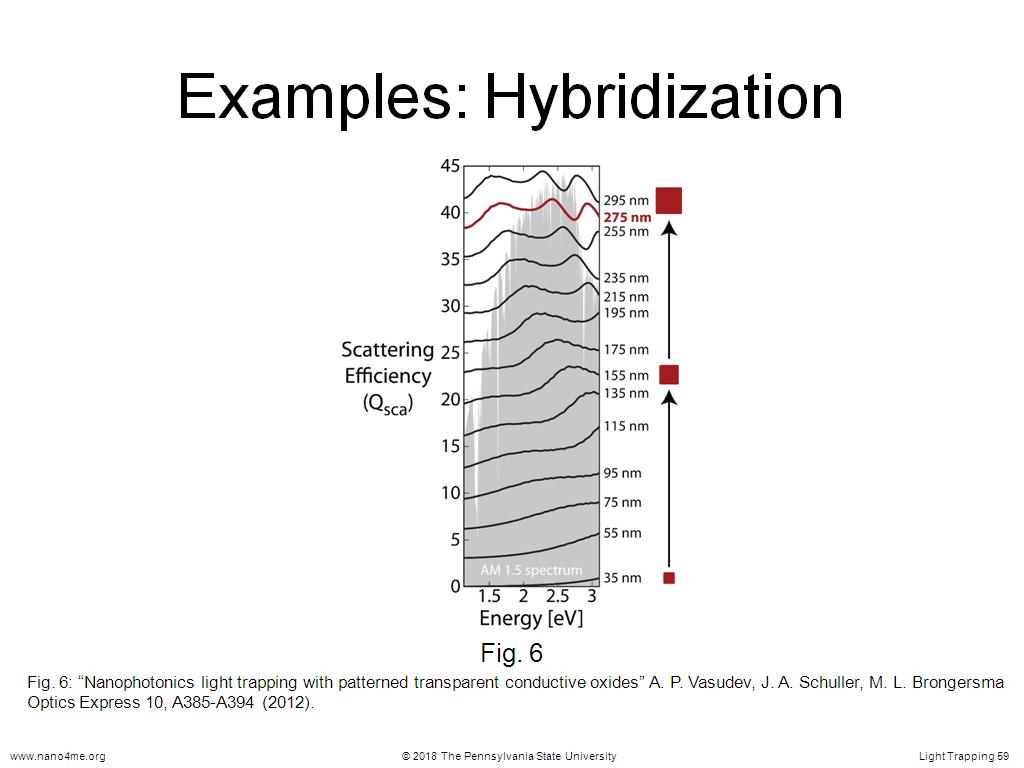 Examples: Hybridization