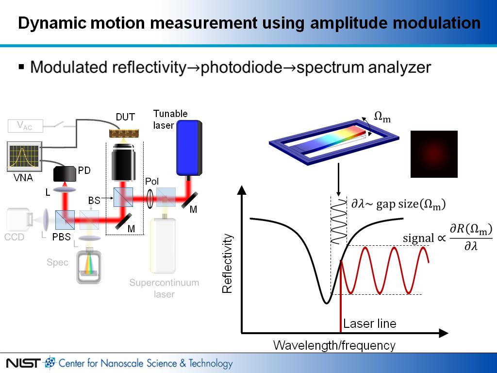Dynamic motion measurement using amplitude modulation