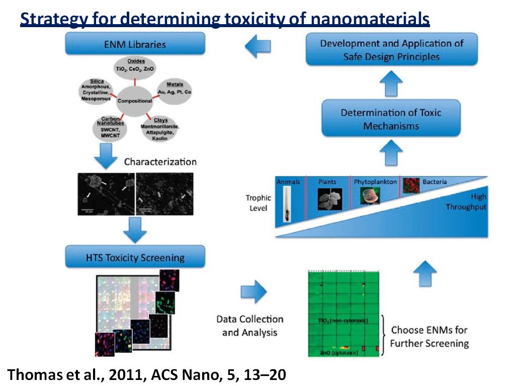 Strategy for determining toxicity of nanomaterials