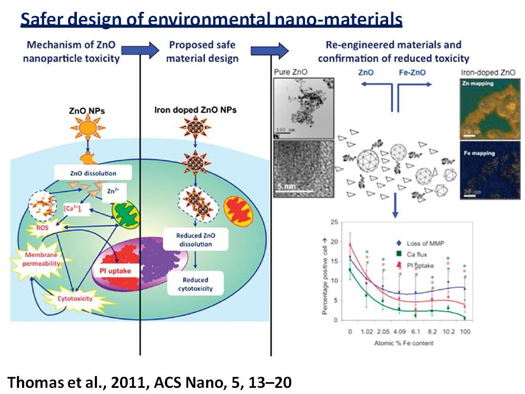 Safer design of environmental nano-materials