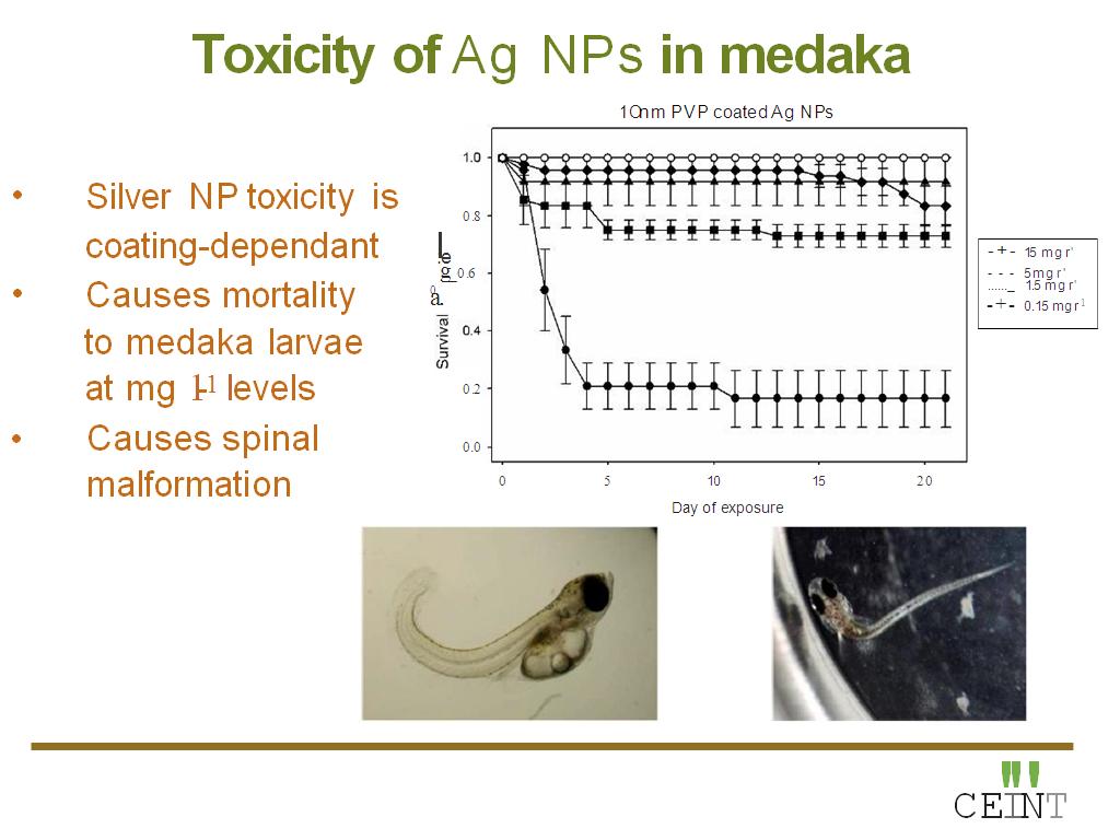 Toxicity of Ag NPs in medaka