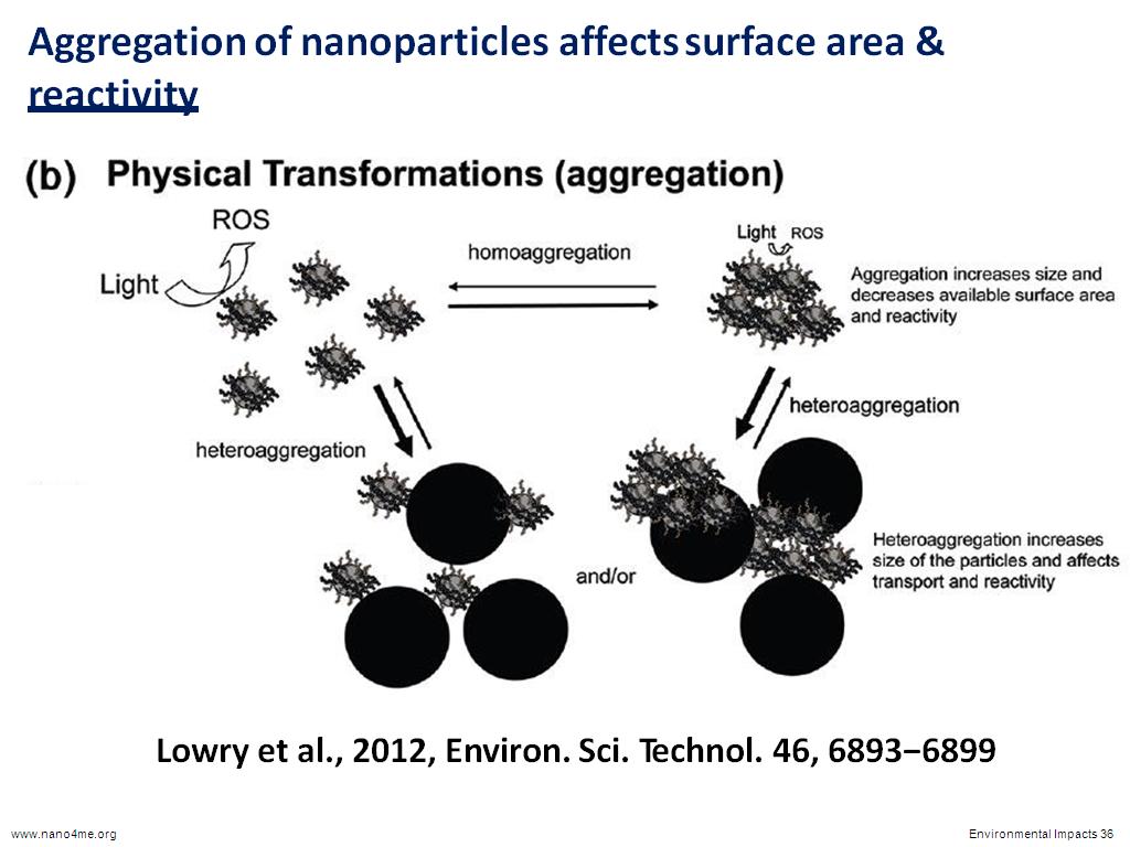 Aggregation of nanoparticles affects surface area & reactivity