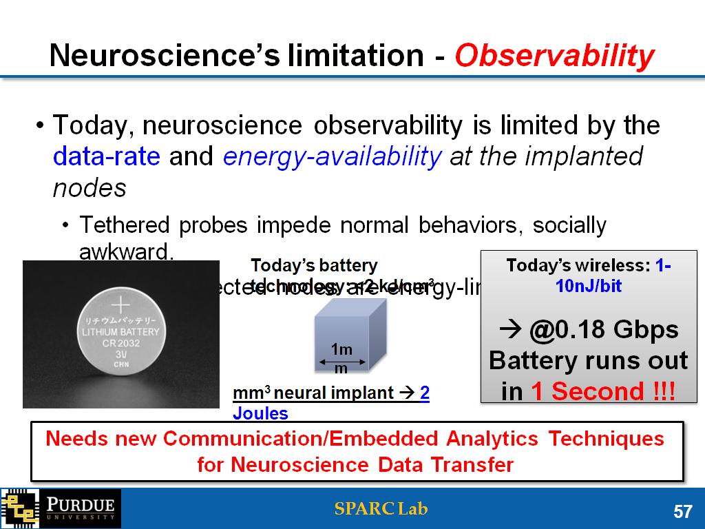 Neuroscience's limitation - Observability