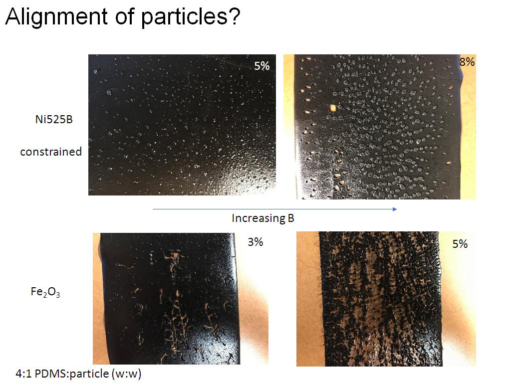 Alignment of particles?