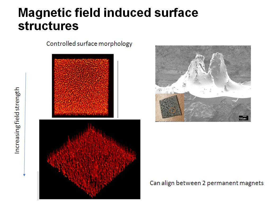 Magnetic field induced surface structures
