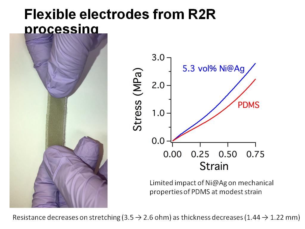 Flexible electrodes from R2R processing