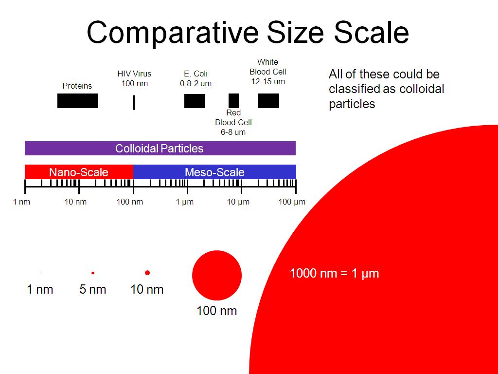 Comparative Size Scale