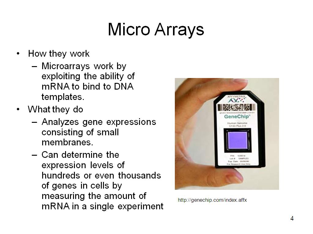 Micro Arrays