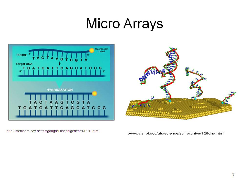 Micro Arrays