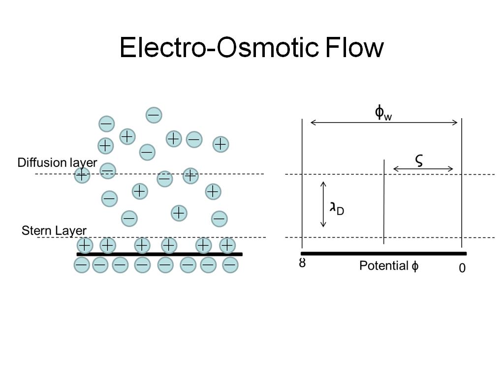 Electro-Osmotic Flow