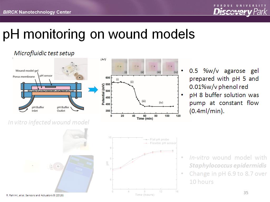 pH monitoring on wound models