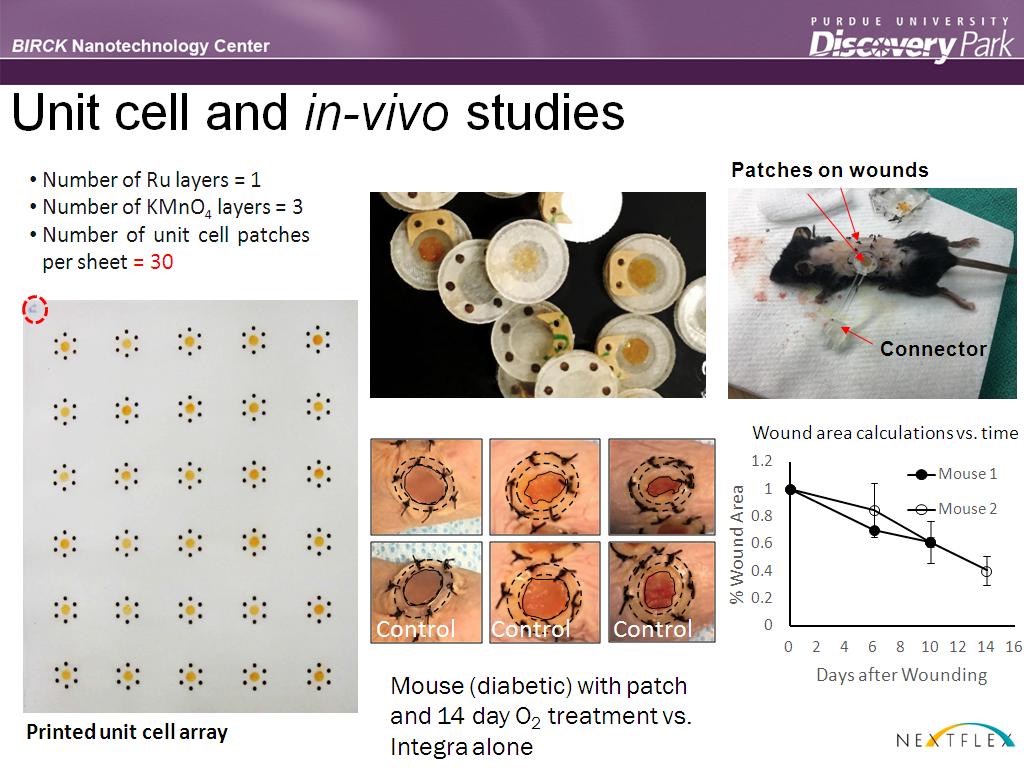 Unit cell and in-vivo studies