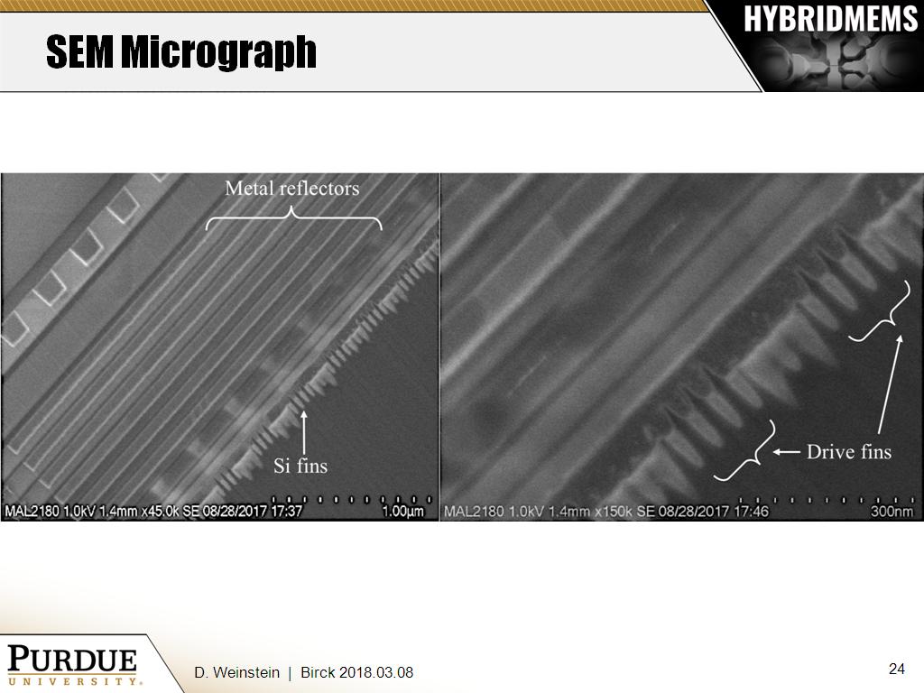 SEM Micrograph