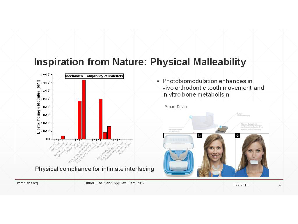 Inspiration from Nature: Physical Malleability