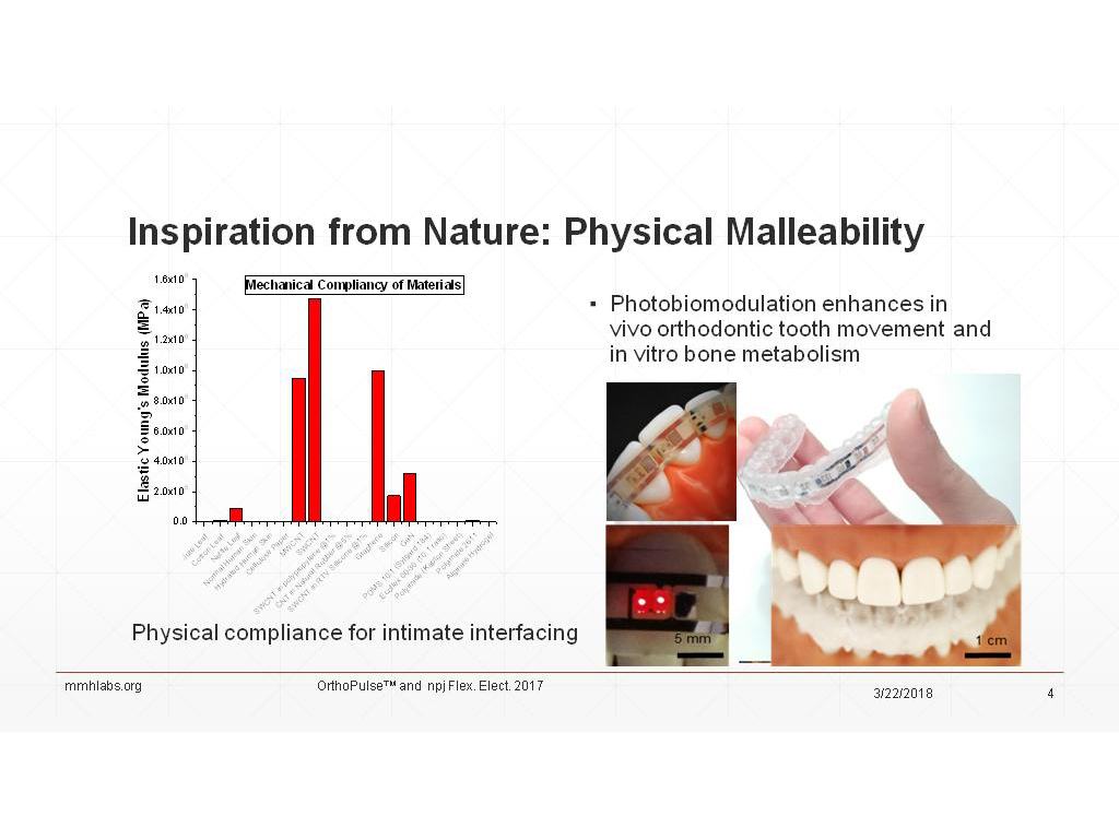 Inspiration from Nature: Physical Malleability