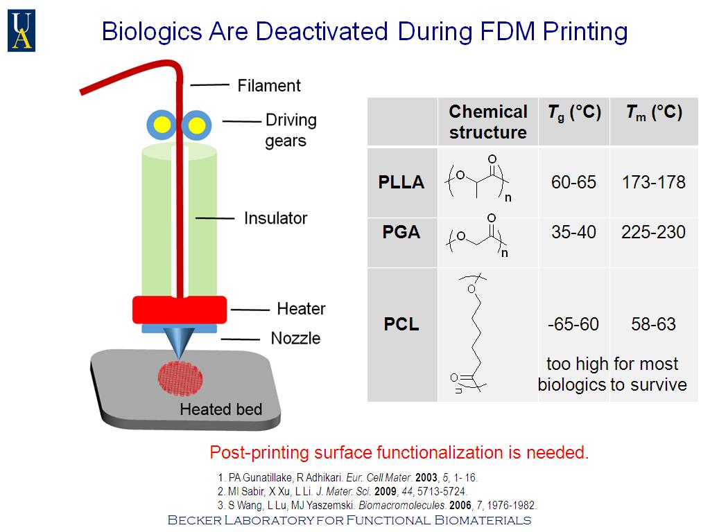 Biologics Are Deactivated During FDM Printing