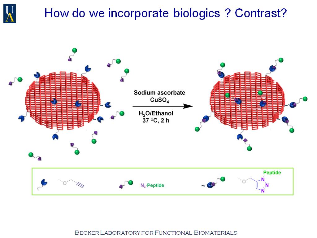 How do we incorporate biologics ? Contrast?