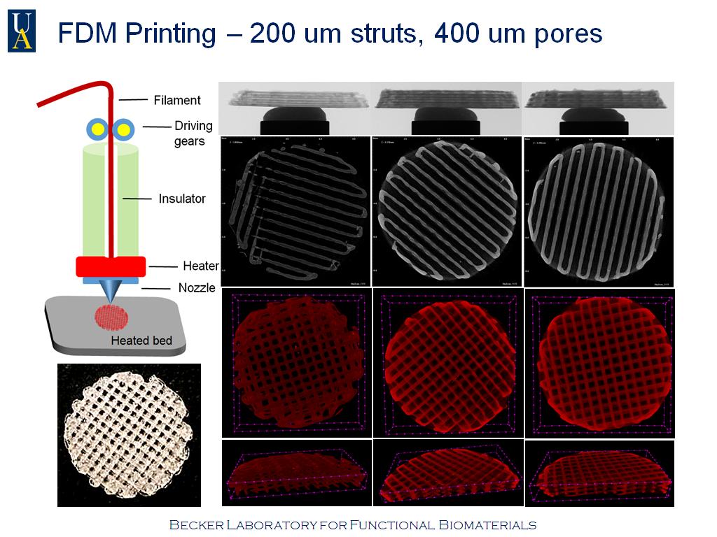 FDM Printing – 200 um struts, 400 um pores