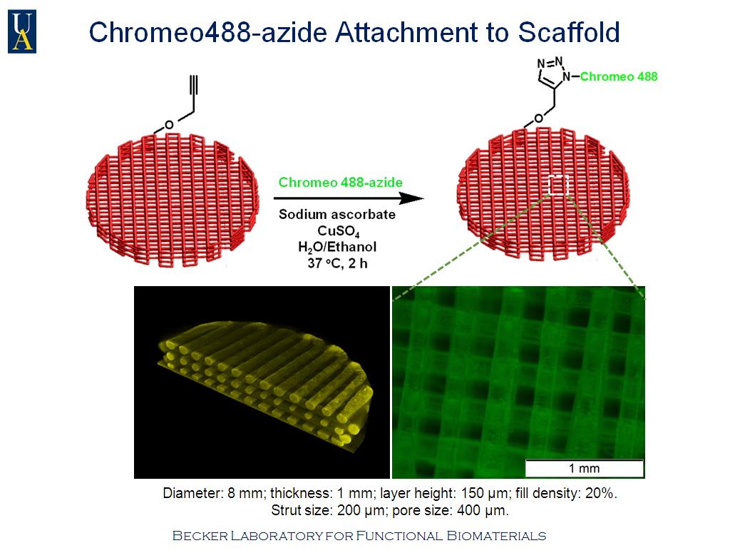 Chromeo488-azide Attachment to Scaffold