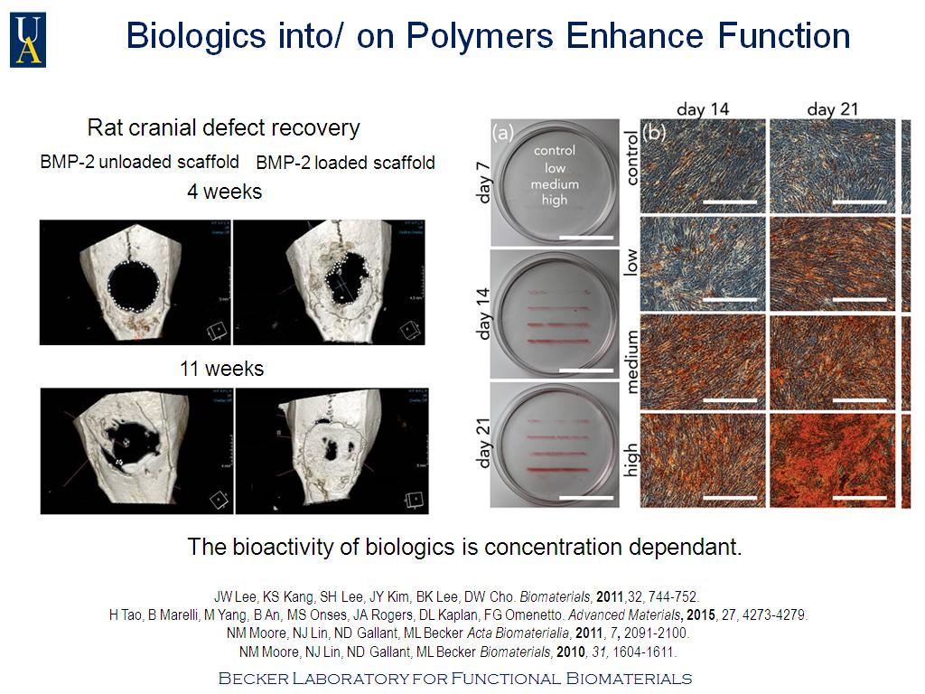 Biologics into/ on Polymers Enhance Function