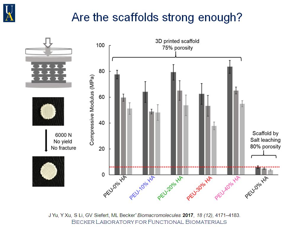 Are the scaffolds strong enough?